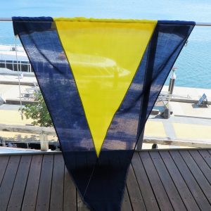 Flag – First Substitution