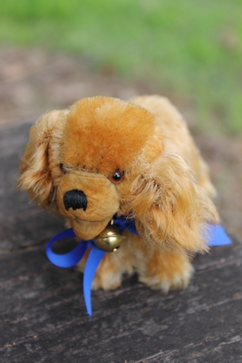 Steiff Cockie Cocker Spaniel 10cm - vintage - Steiff Cockie Cocker Spaniel 10cm - vintage