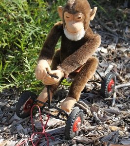 Steiff ‘Record Peter’ Chimpanzee Monkey on wheels.  25cm – vintage.