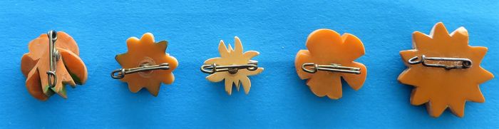 German Badge Set - Flowers - morpeth antique centre hunter valleywildflower german third reich winter charity relief badge amber baltic tinnie donation pin token plastic glass timber pottery metal