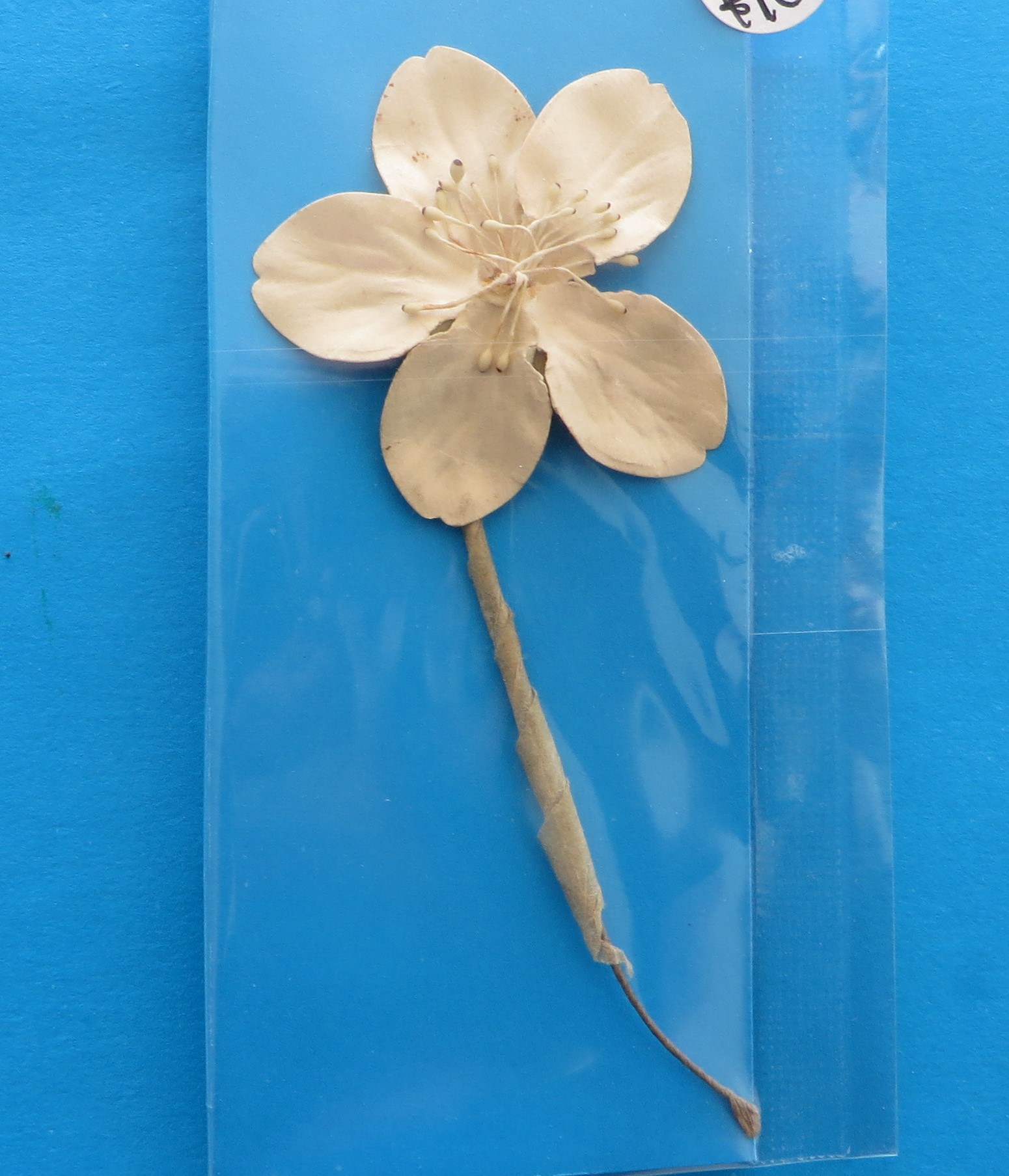German Charity Flower Sprig - morpeth antique centre hunter valley third reich german world war two winter charity relief badge pin baltic amber flower edelweiss propaganda WHW