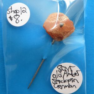 Amber Pin