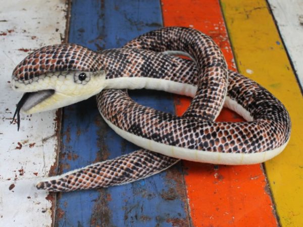 morpeth gift gallery hunter valley hansa plush creations bird animal insect snake python