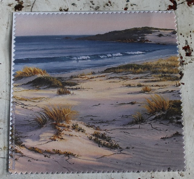 Glasses Case - Sand Dunes - morpeth gift gallery hunter valley micro fibre cleaning cloth lens reading glasses discs computer screen watches keyboards robyn collier colier sand dunes australian beach scene golden afternoon
