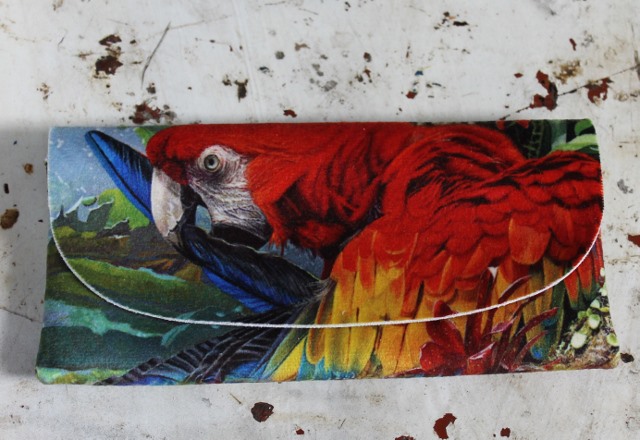 Glasses Case - Macaw Parrot - morpeth gift gallery hunter valley glasses case stephen jesic morning reflections