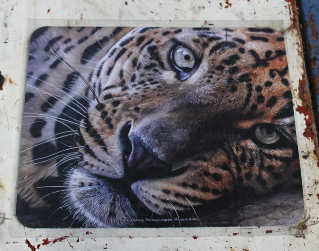 Computer Mouse Mat - Leopard - morpeth gift gallery hunter valley computer mouse mat pad garry fleming lazy leopard jungle cat