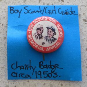 Boy Scout/Girl Guide Badge