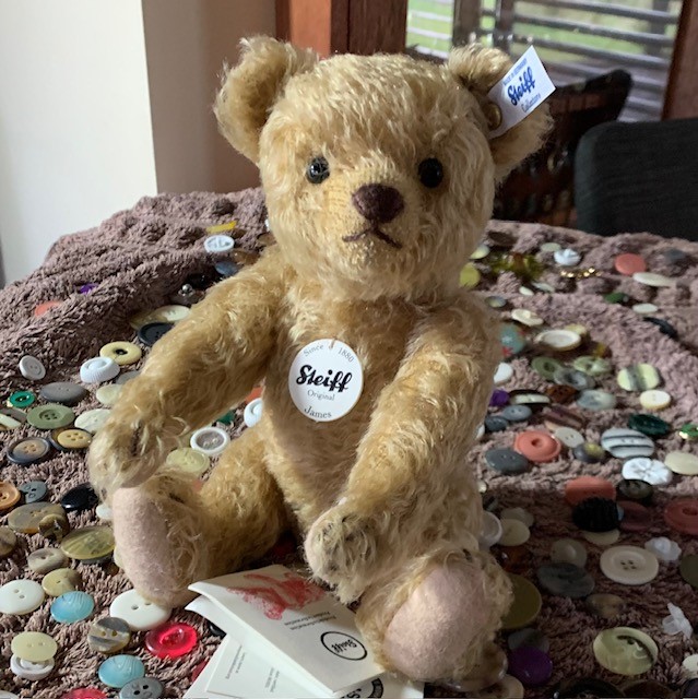James Steiff Teddy - open edition - Morpeth Teddy Bears Steiff 2023 mohair Hunter Valley open edition James