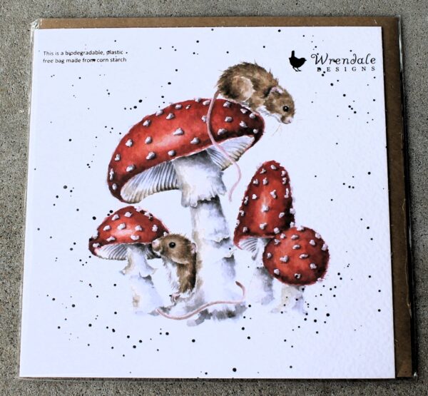 morpeth antique centre hunter valley region wrendale designs united kingdom greeting card blank birthday the fairy ring field mouse mice toadstool mushroom house