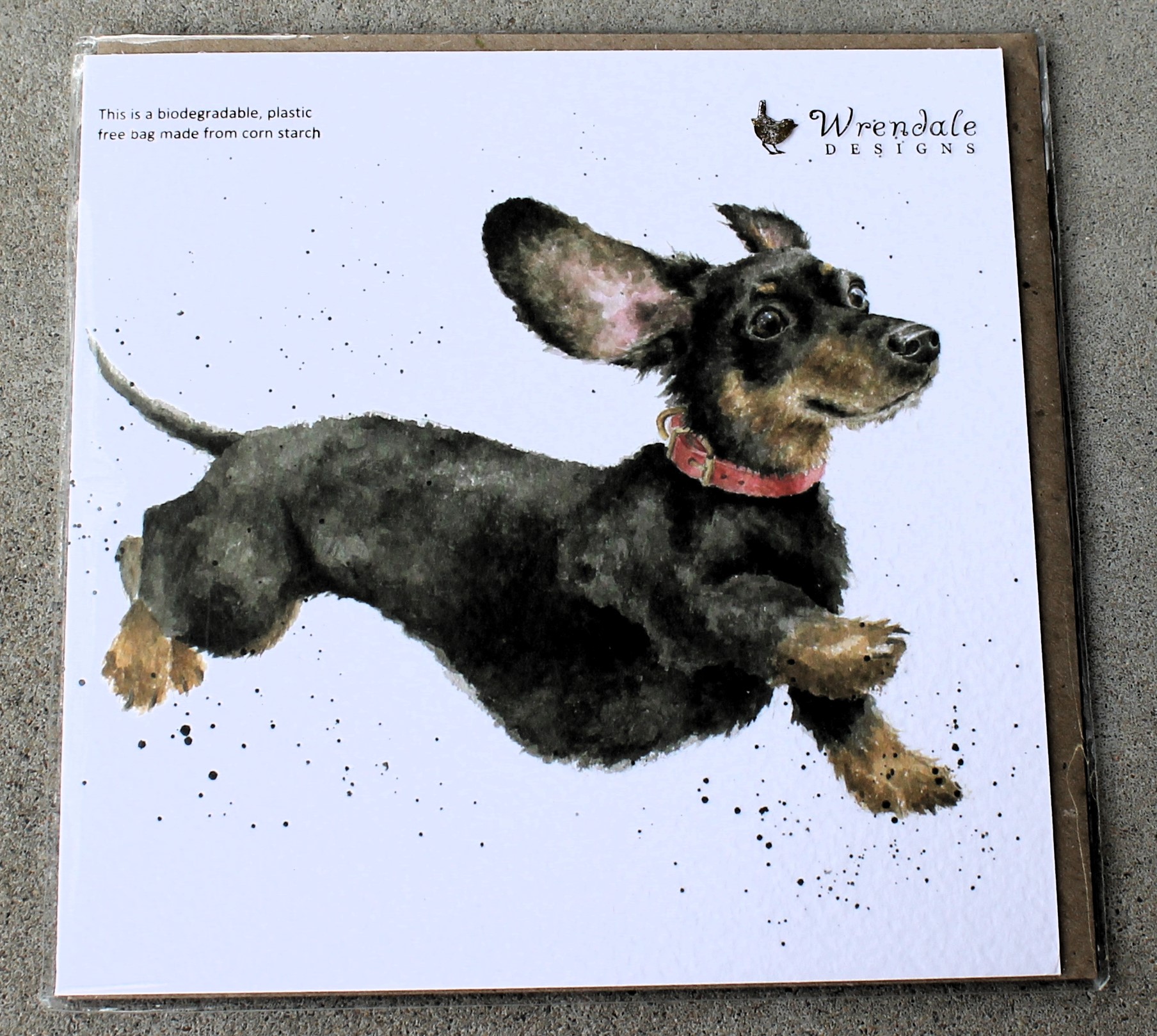 Greeting Card - That Friday Feeling - morpeth antique centre hunter valley region wrendale designs united kingdom greeting card blank birthday that friday feeling dachshund dog sausage