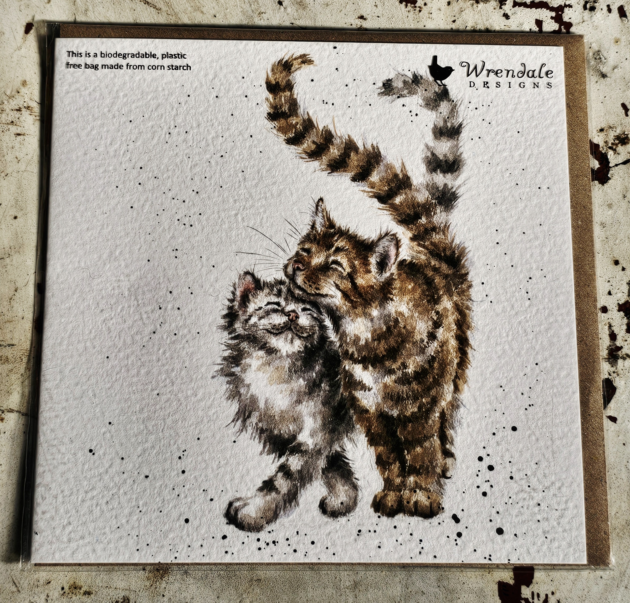 Greeting Card - Cats - morpeth gift gallery hunter valley region royal worcester wrendale designs greeting card blank dogs cats woodland animals birds nature
