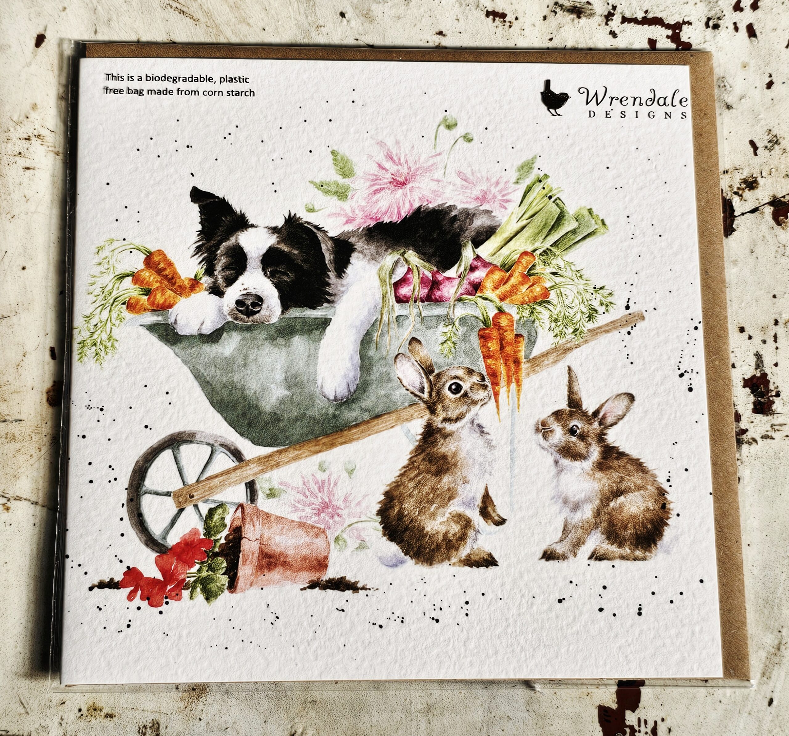 Greeting Card - Border Collie Dog & Friends - morpeth gift gallery hunter valley region royal worcester wrendale designs greeting card blank dogs cats woodland animals birds nature border collie rabbit