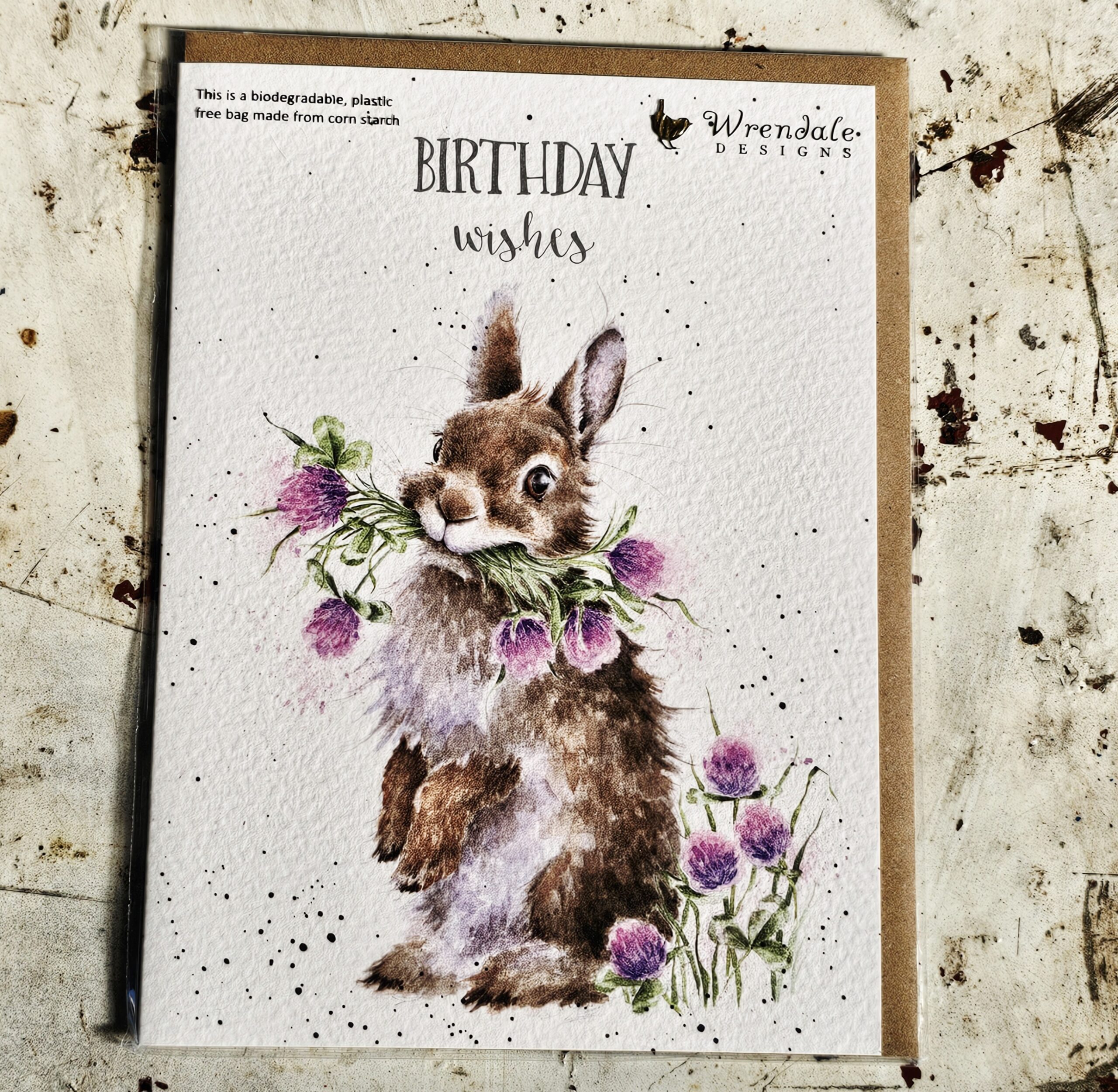 Greeting Card - Birthday Wishes Bunny - morpeth gift gallery hunter valley region royal worcester wrendale designs greeting card blank dogs cats woodland animals birds nature birthday wishes rabbit clover