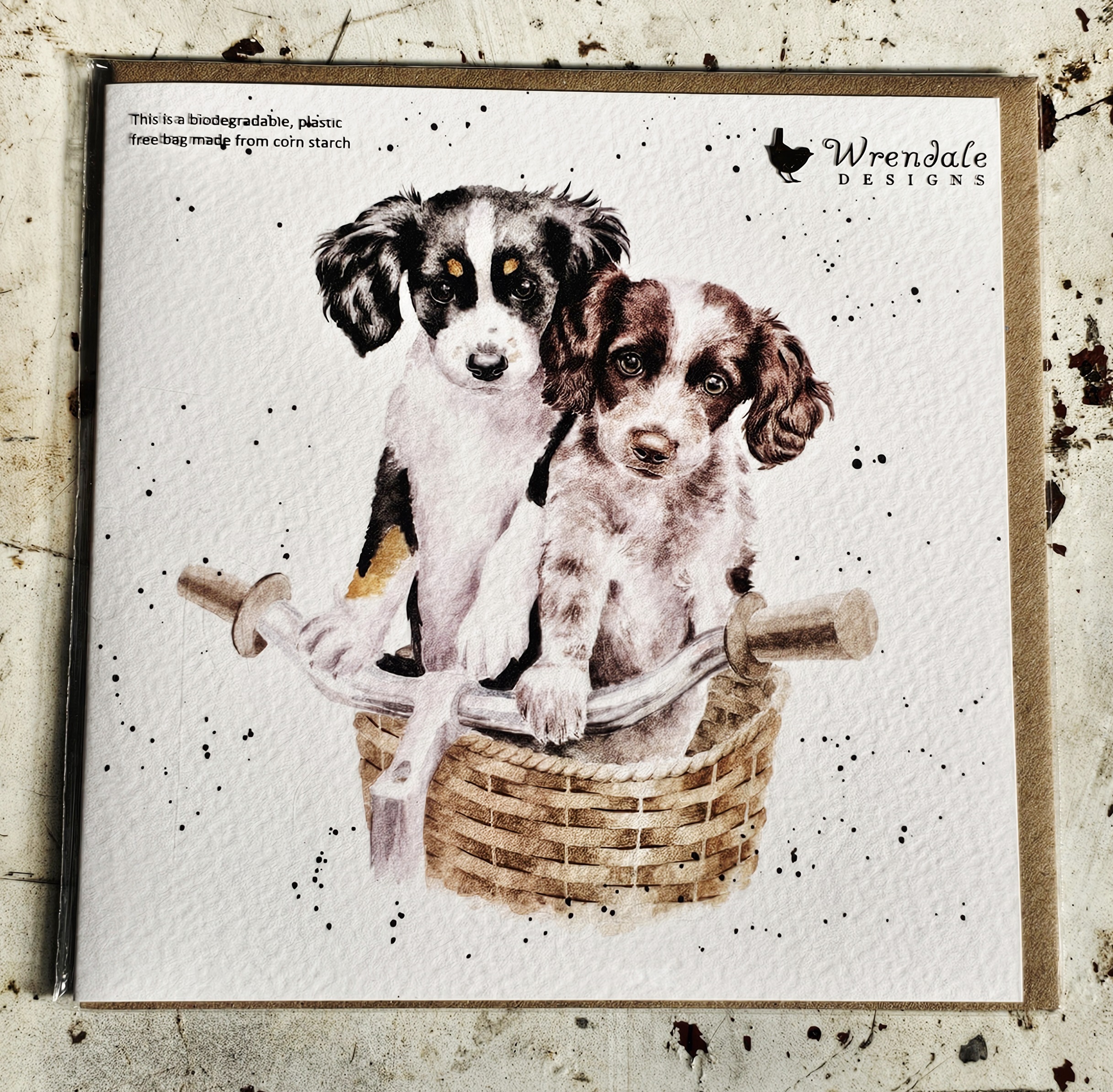 Greeting Card - Puppies - morpeth gift gallery hunter valley region royal worcester wrendale designs greeting card blank dogs cats woodland animals birds nature puppy dog spaniel retreiver dog bicycle basket