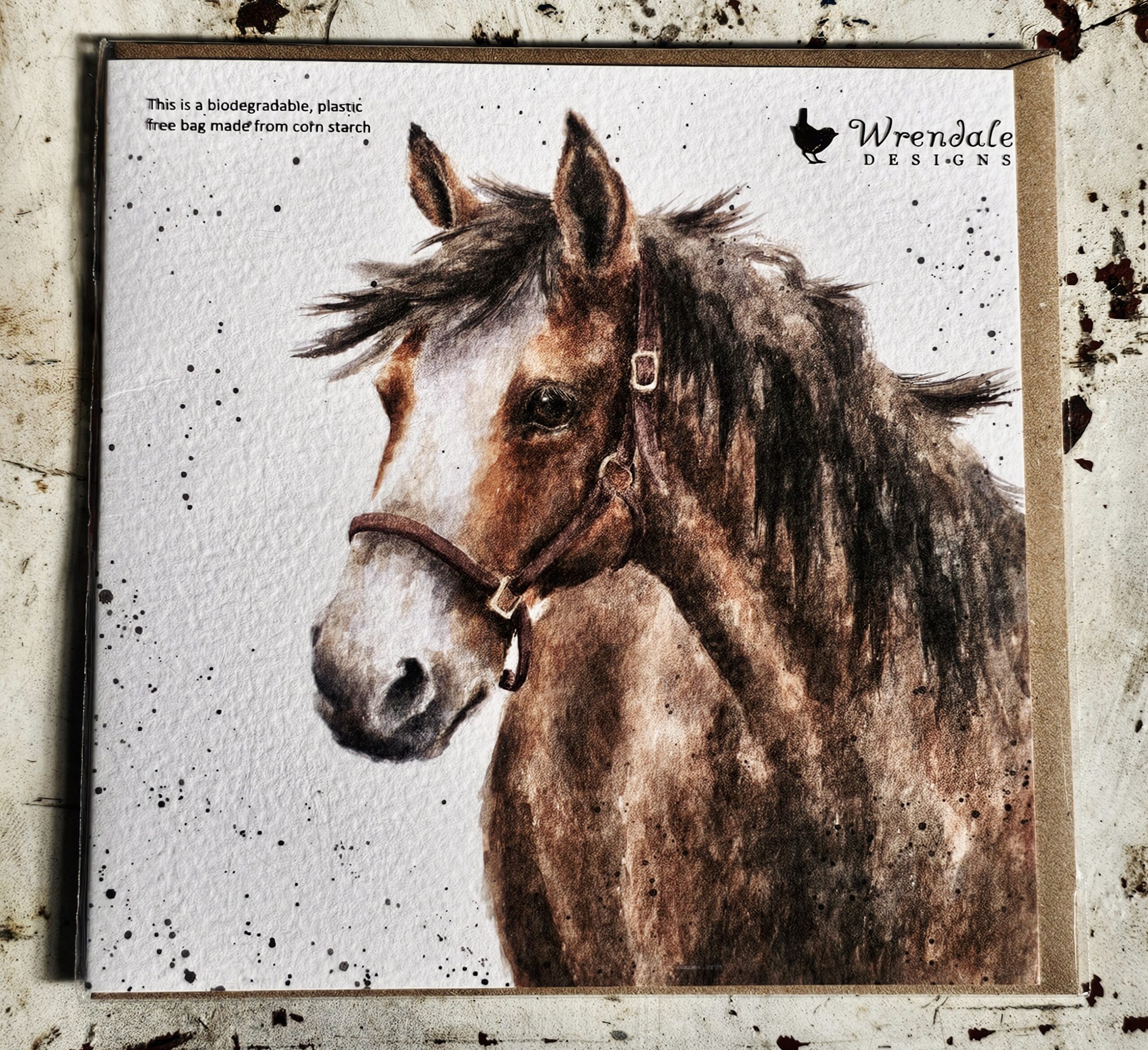 Greeting Card - Horse - morpeth gift gallery hunter valley region royal worcester wrendale designs greeting card blank dogs cats woodland animals birds nature feathers horse