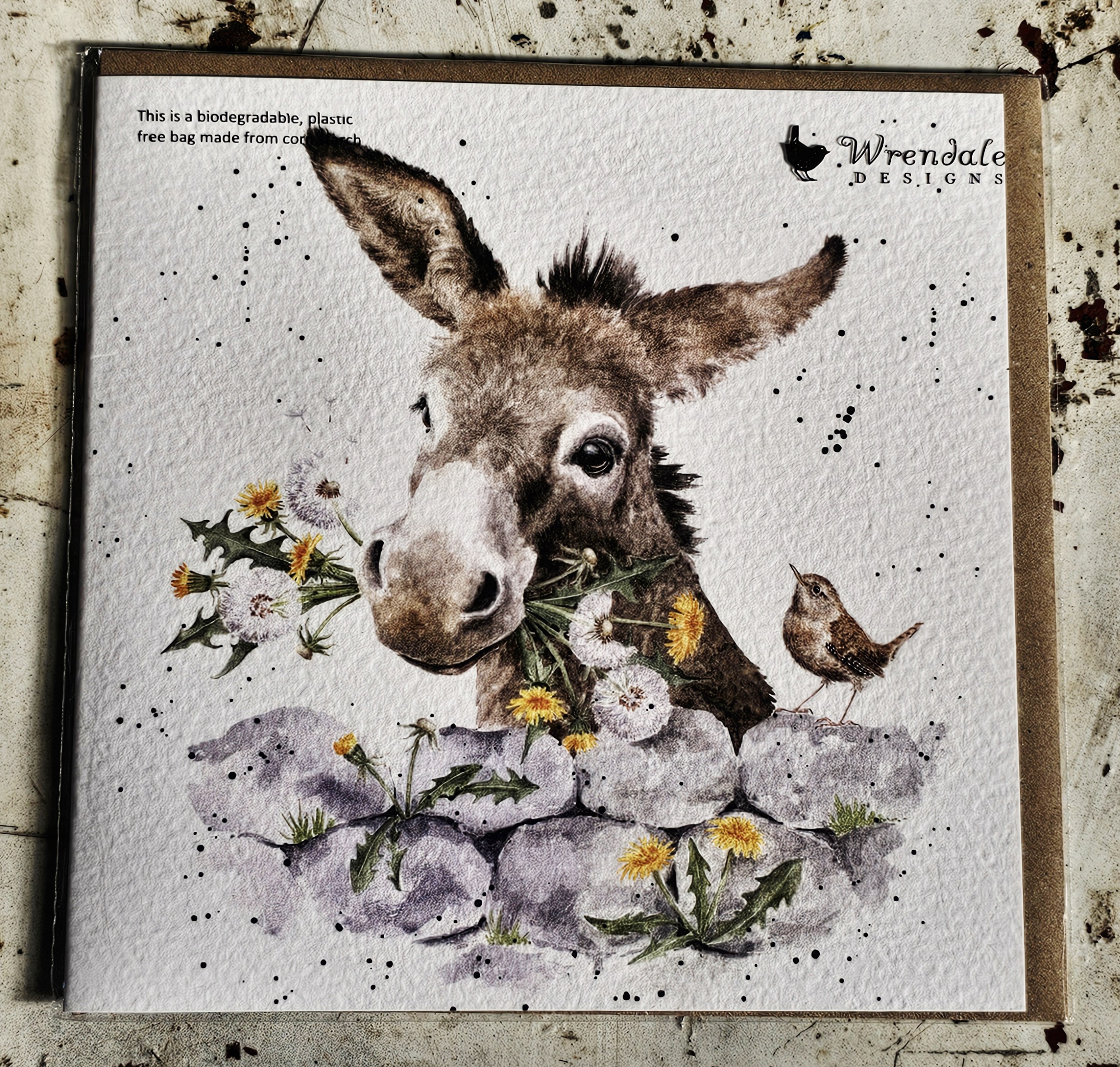 Greeting Card - Donkey - morpeth gift gallery hunter valley region royal worcester wrendale designs greeting card blank dogs cats woodland animals birds nature donkey