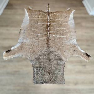 Kudu Hide