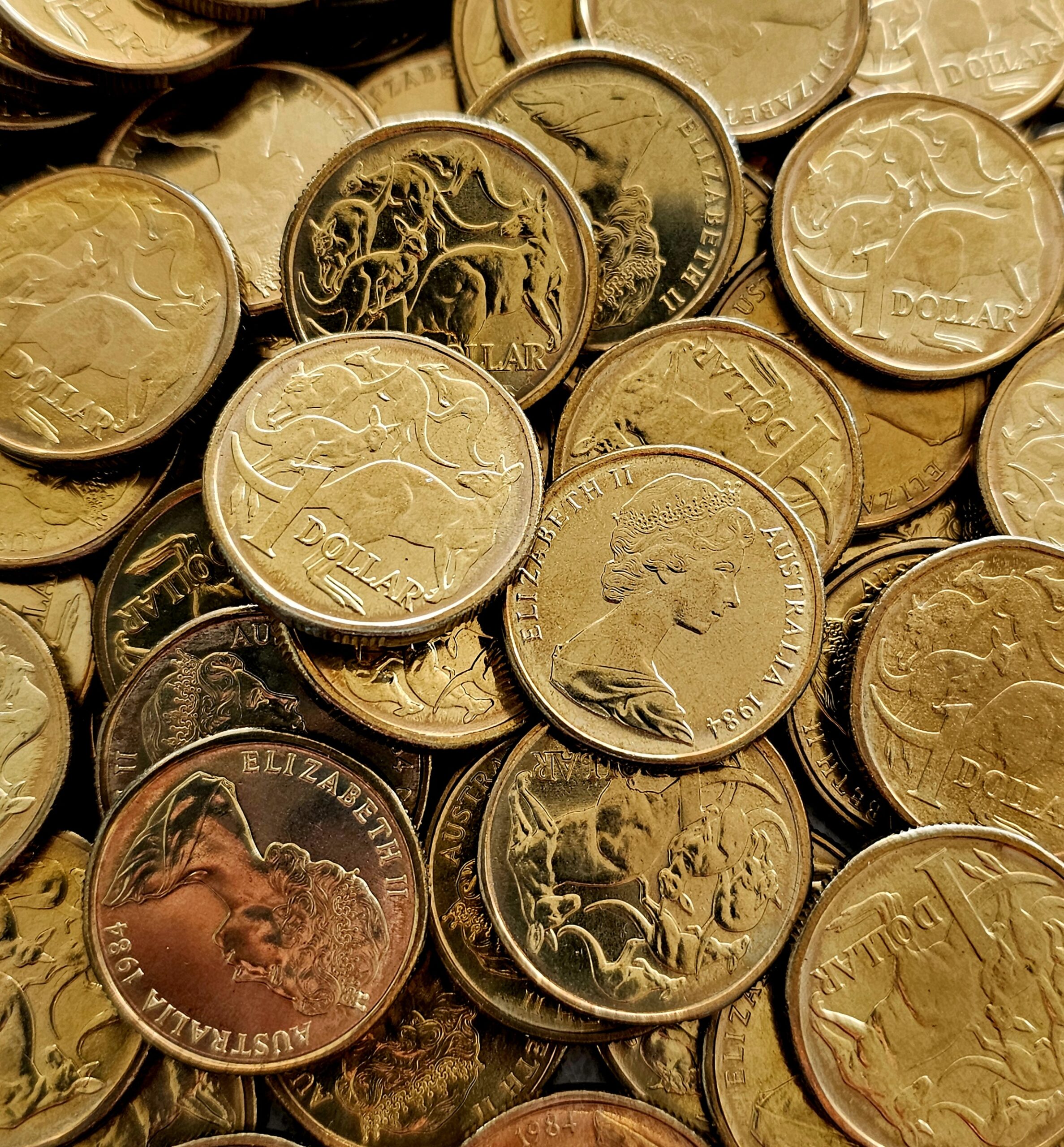 Australian One Dollar Coin - First Year Minted 1984 - morpeth antique centre hunter valley region vintage 1984 first year introduction minted one dollar coin mob of kangaroos australian aluminium bronze elizabeth second currency