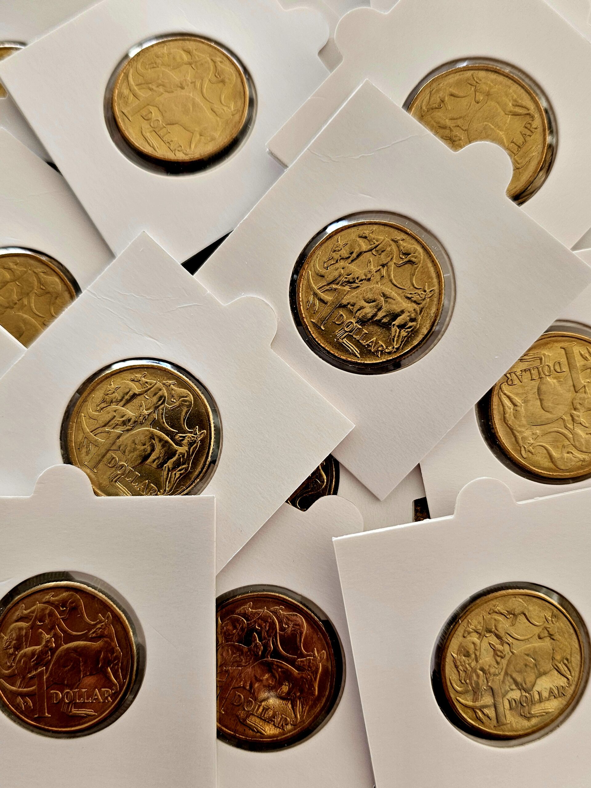 Australian One Dollar Coin - First Year Minted 1984 - morpeth antique centre hunter valley region vintage 1984 first year introduction minted one dollar coin mob of kangaroos australian aluminium bronze elizabeth second currency