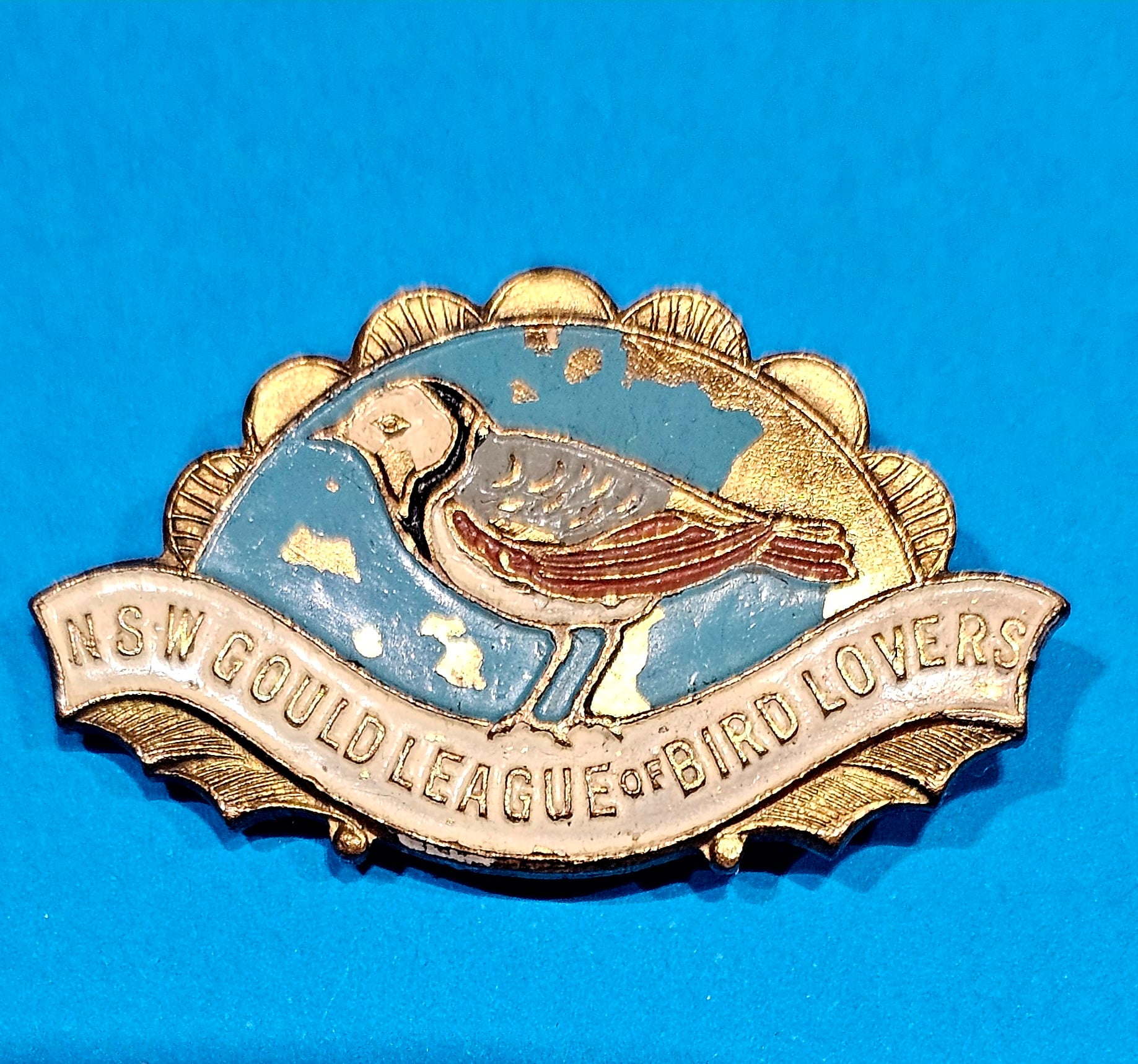 NSW Gould League Badge 1948 - morpeth antique centre hunter valley region nsw gould league bird lovers badge white fronted chat 1948