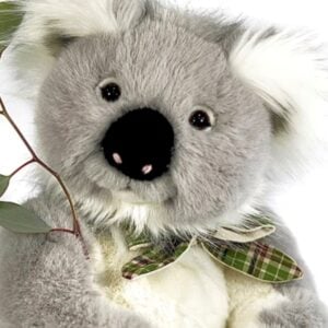 Dale Koala