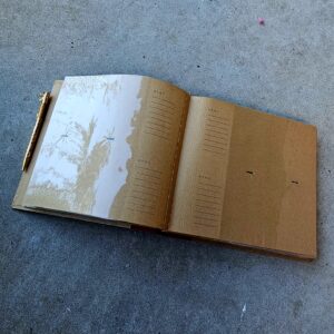 Teddy & Golly Photo Album