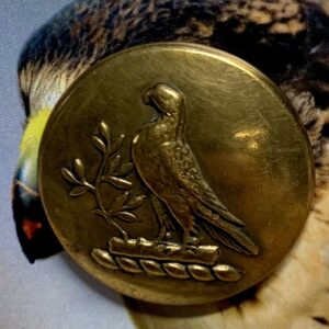 Peregrine Falcon Livery Button x 1 (code 866)