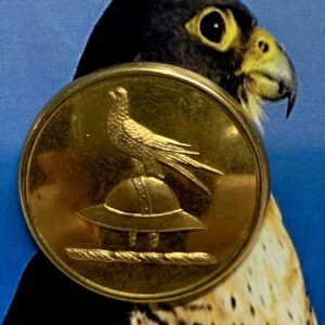 Peregrine Falcon Livery Button x 1 (code 867)